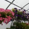 Garden Supplies - Image 6