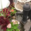 Garden Supplies - Image 7