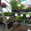 Garden Supplies - Image 2